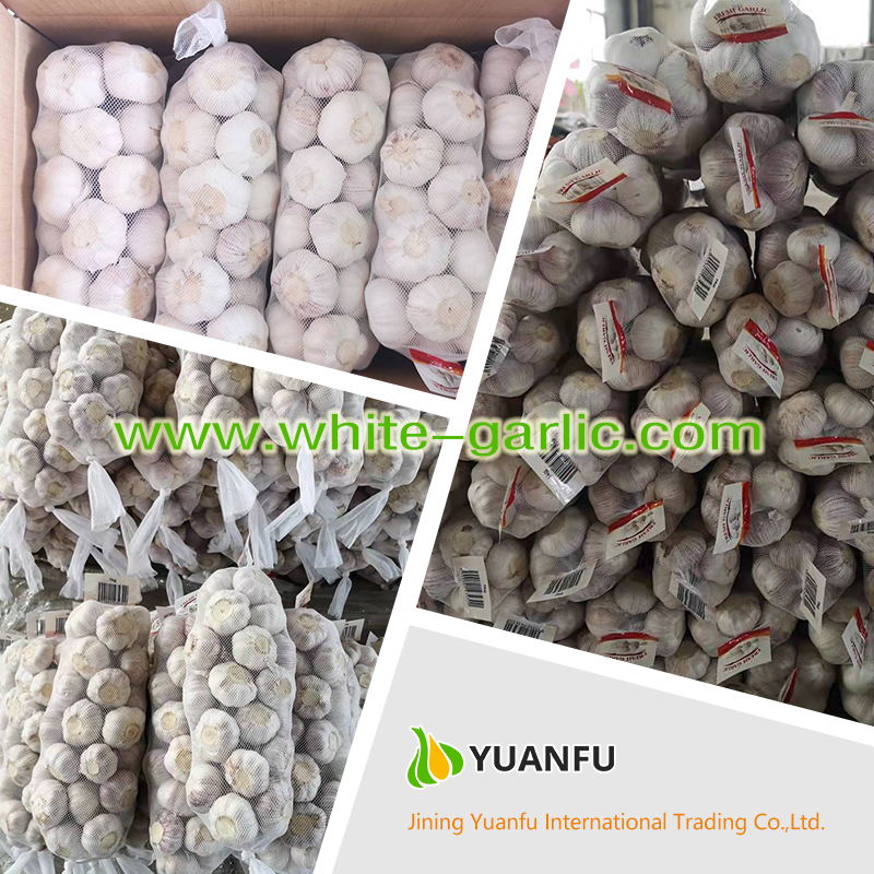 garlic sellers garlic sellers